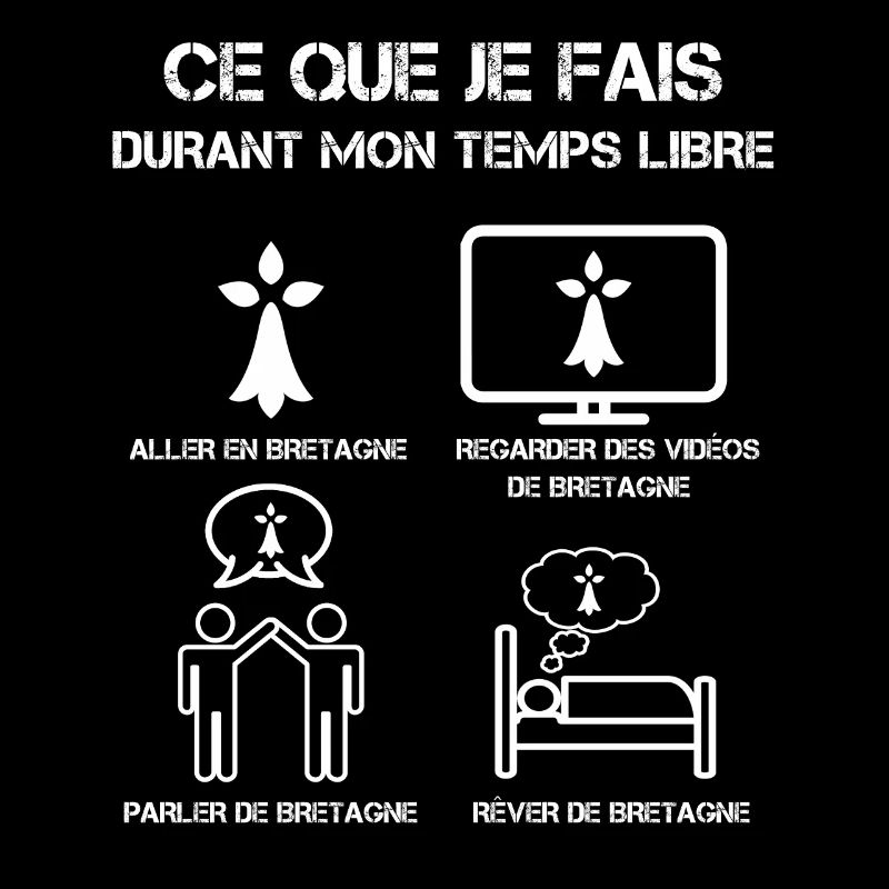 Freizeit Bretagne Hermine