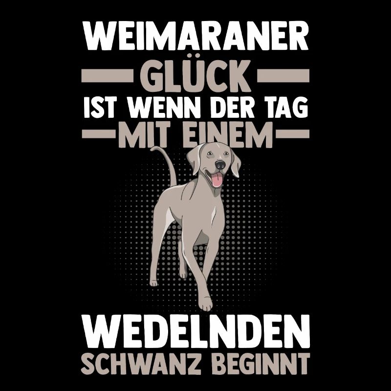 Braque de Weimar chien