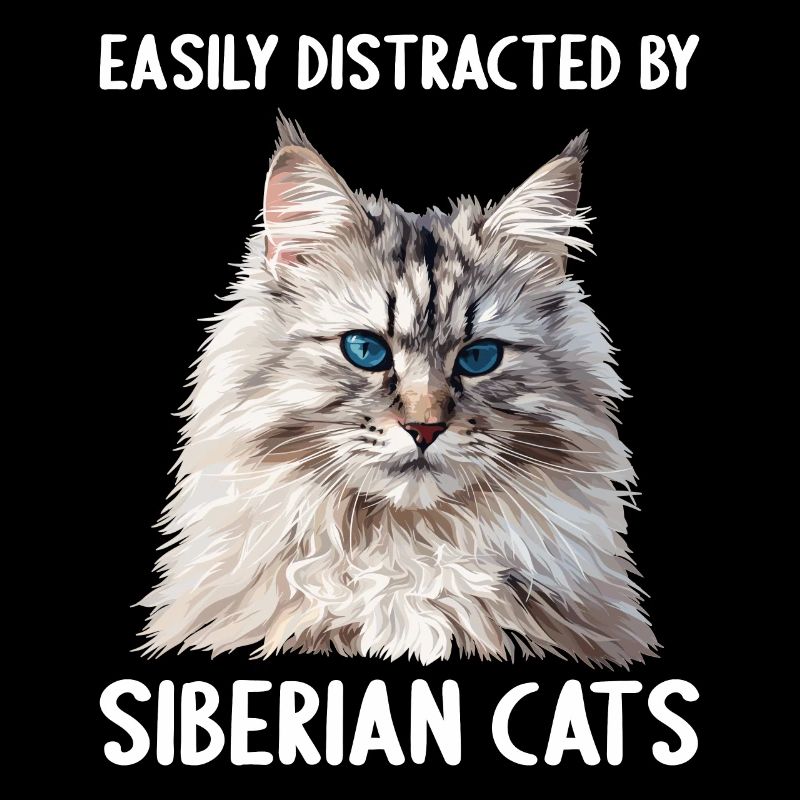Siberian Cat Sibirische Katze