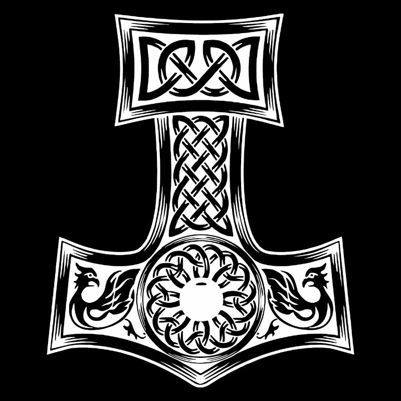 Vikings norden valhalla suède scandinavia flaga