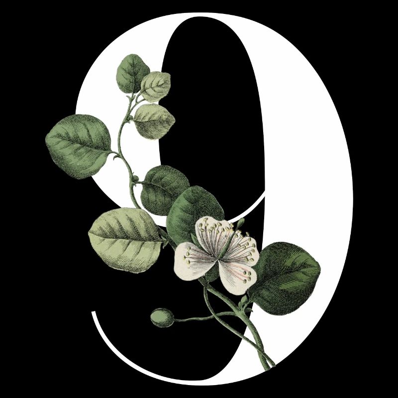 Nummer 9 Blumengrün -9. Blumengeburtstag