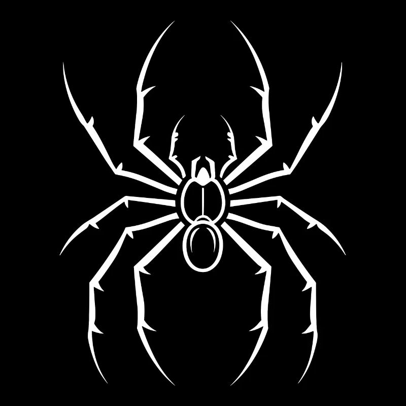 Spinne