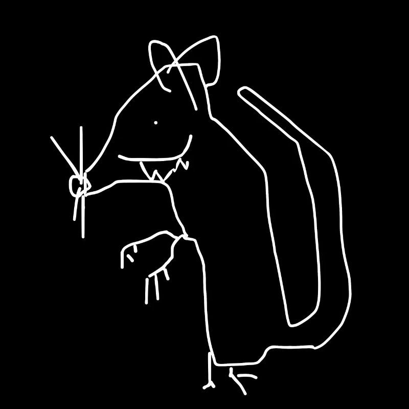 Rat Animal Funny