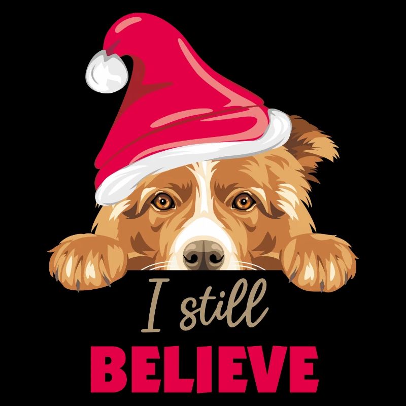 Chien Border Collie mignon en chapeau de Père Noël