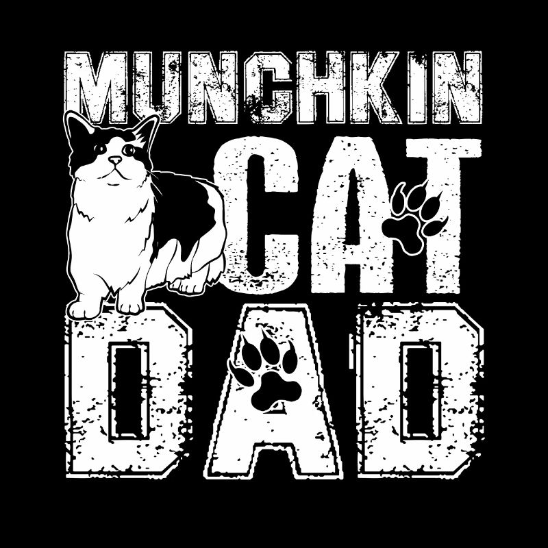 Munchkin Cat Munchkin Cat Dad