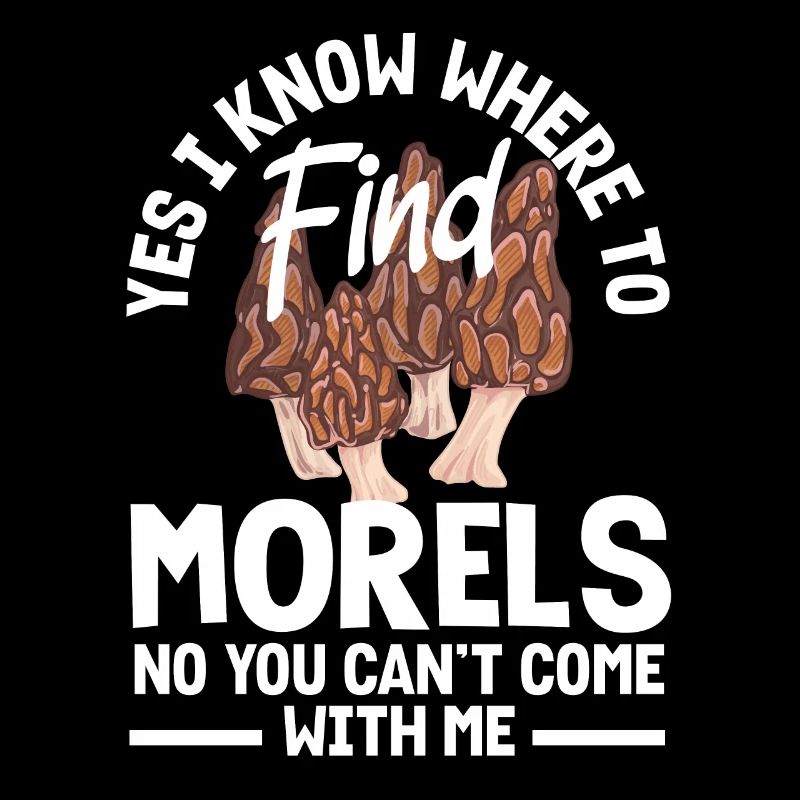 Mushroom pickers know where to find morels