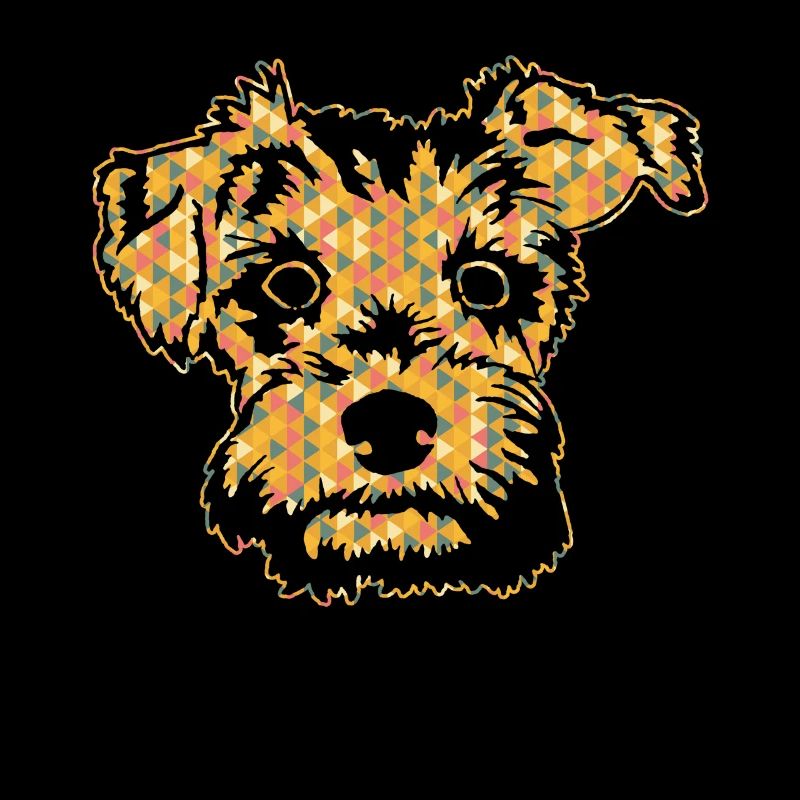 Schnoodle Geometric