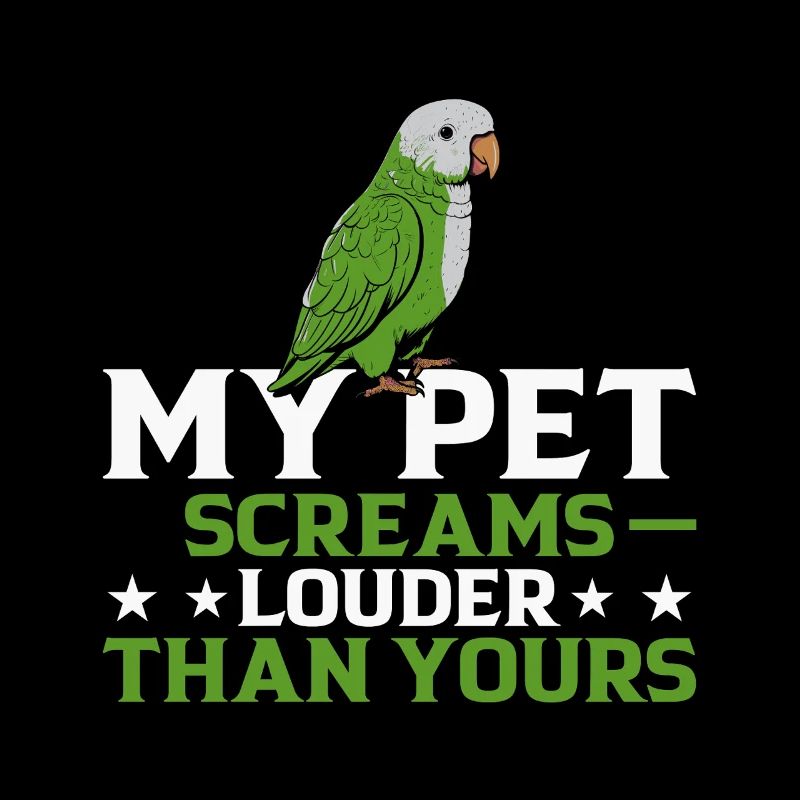 Green Monk Actor Quaker Conure Parrots