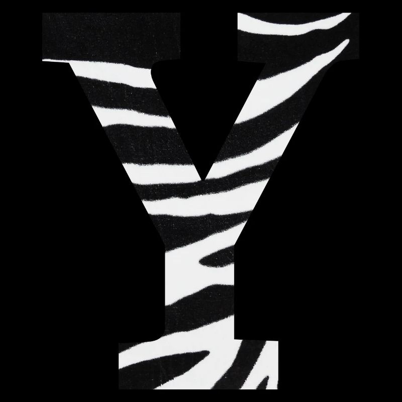 Letter and zebra