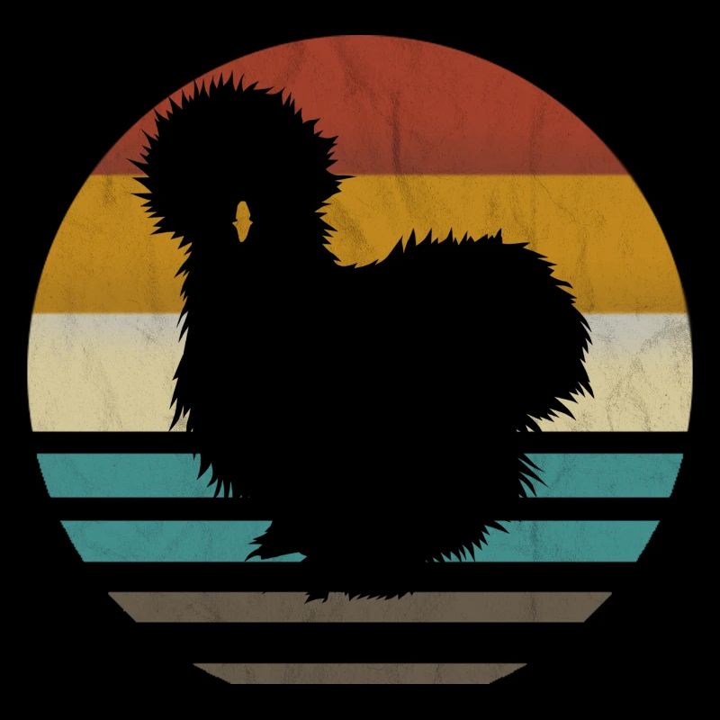 Poulets de soie Silkie Poulets