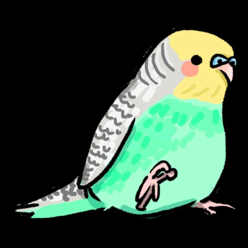 budgie