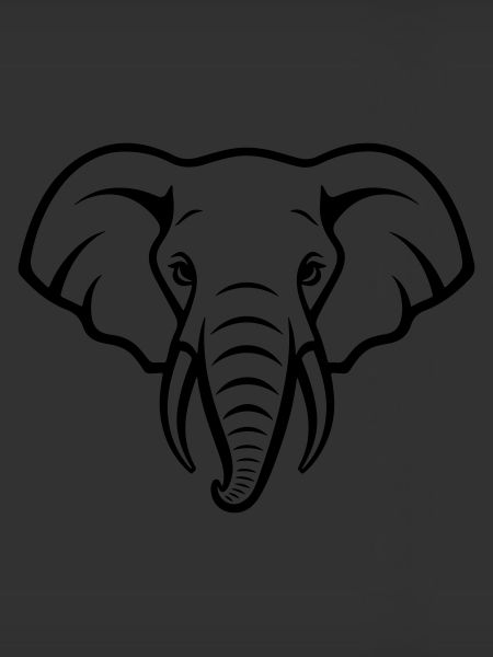 Tête d'éléphant
