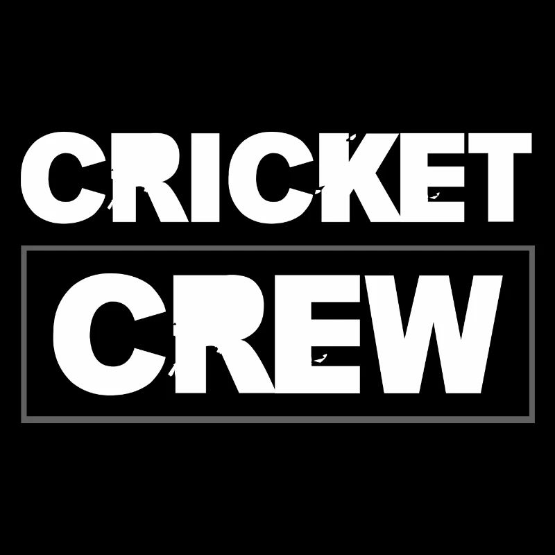 Équipe de cricket