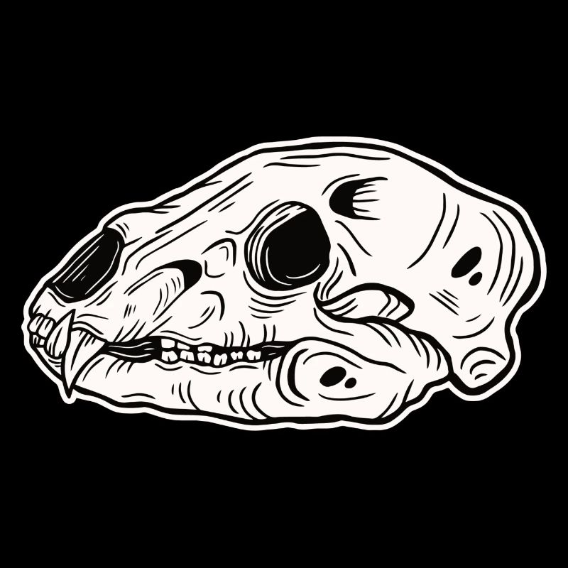 Skull Skeleton Skull Horror Cadeau d’Halloween