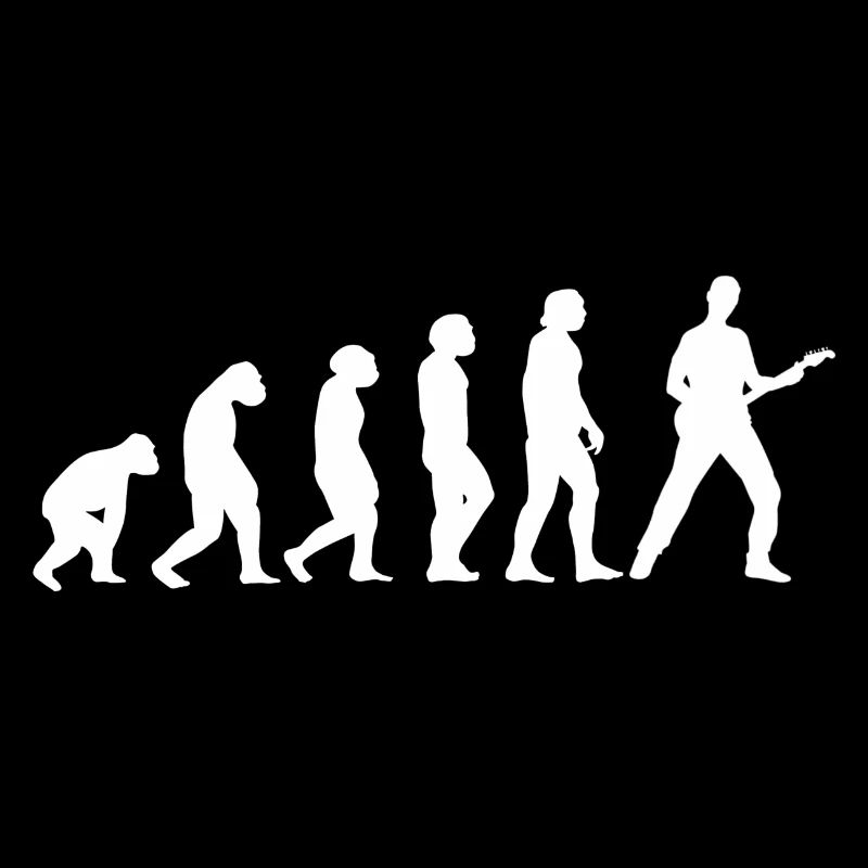 Gitarre Evolution