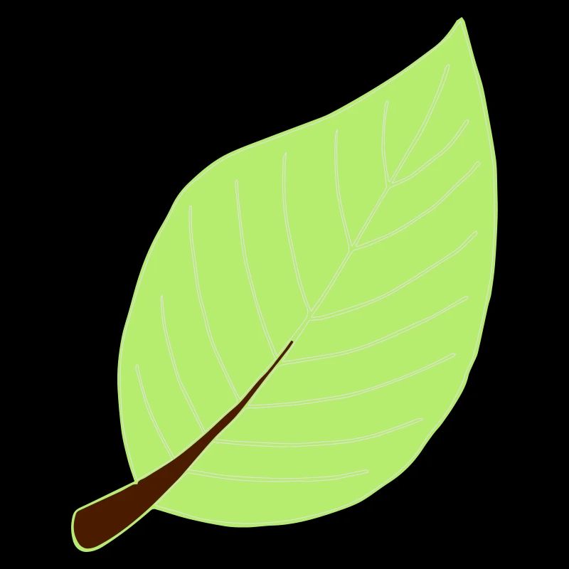 leaf