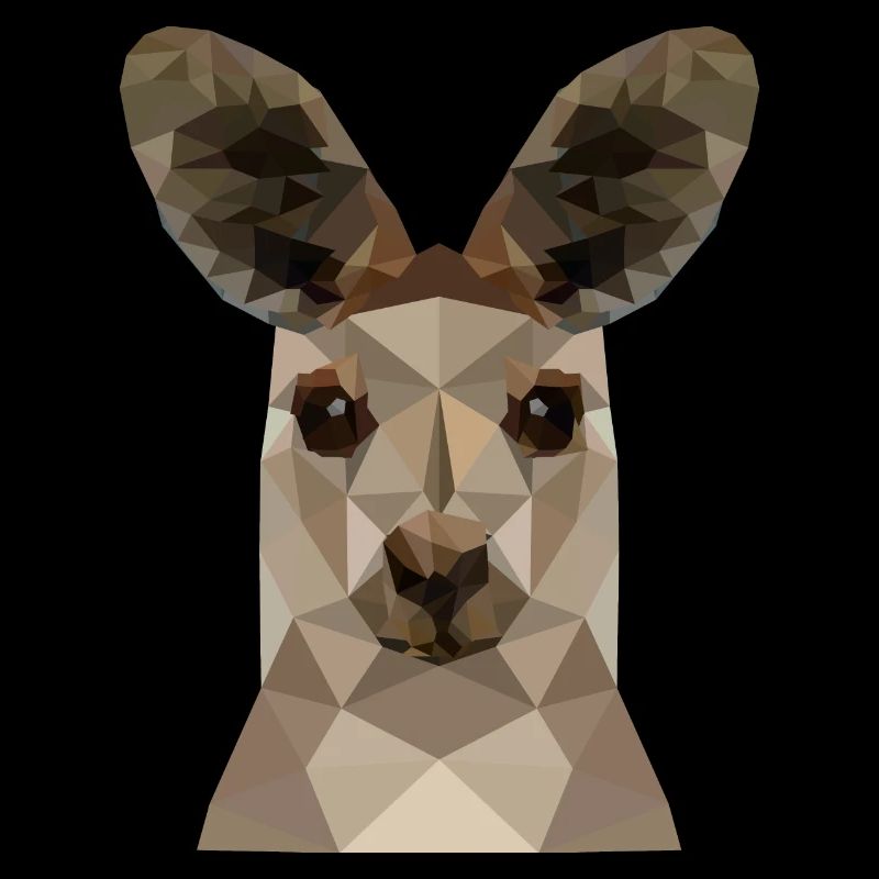Känguru