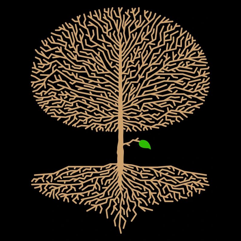 Deciduous Tree Crown Forest Oak Beech Nature Branch Hope