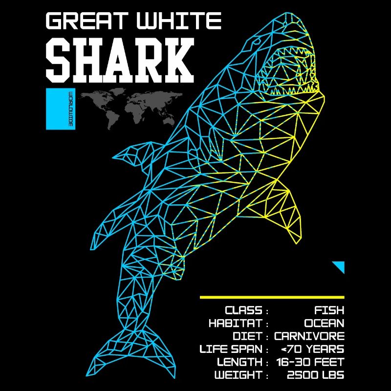 Grand Requin blanc a