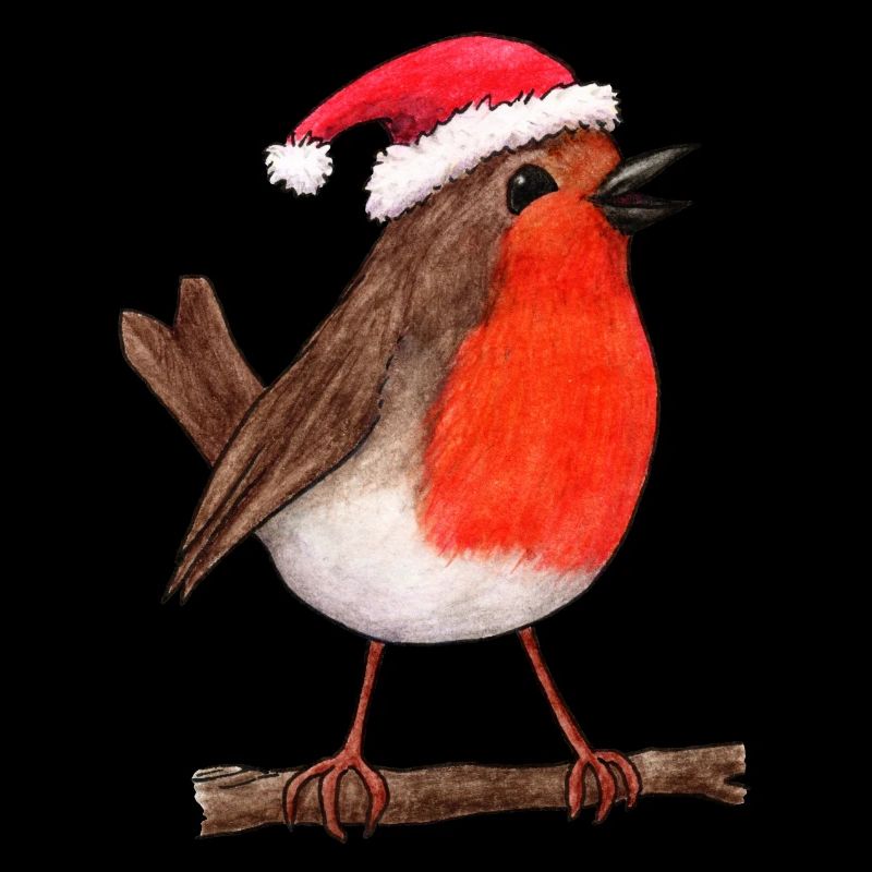Christmas Robin
