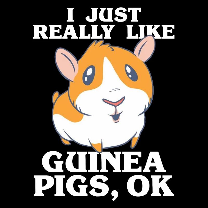 Guinea pig