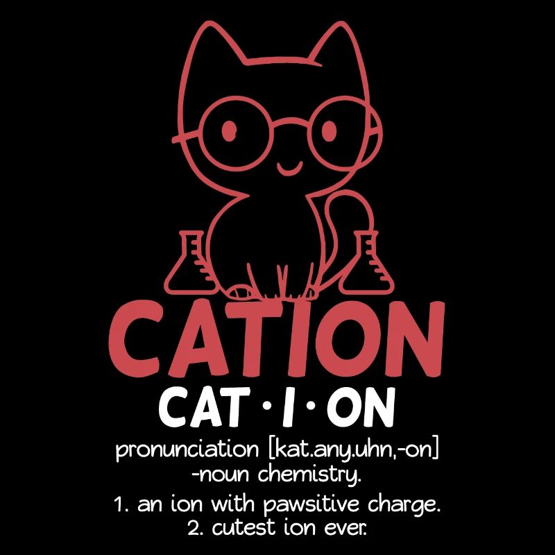 Chat chimie chimiste drôle cadeau