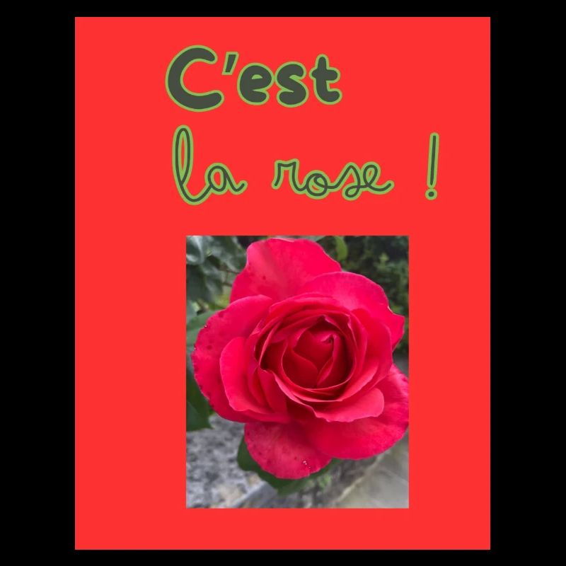 C'est la rose!