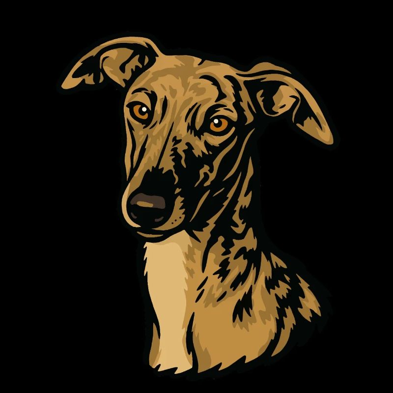 Galgo Español – Pride & Beauty