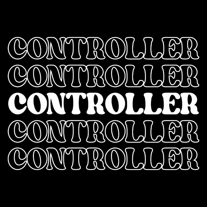 Controller Accountant Auditor Chief Financial