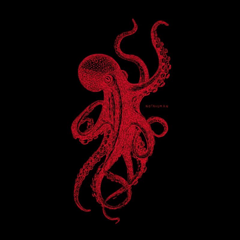 Red Octopus