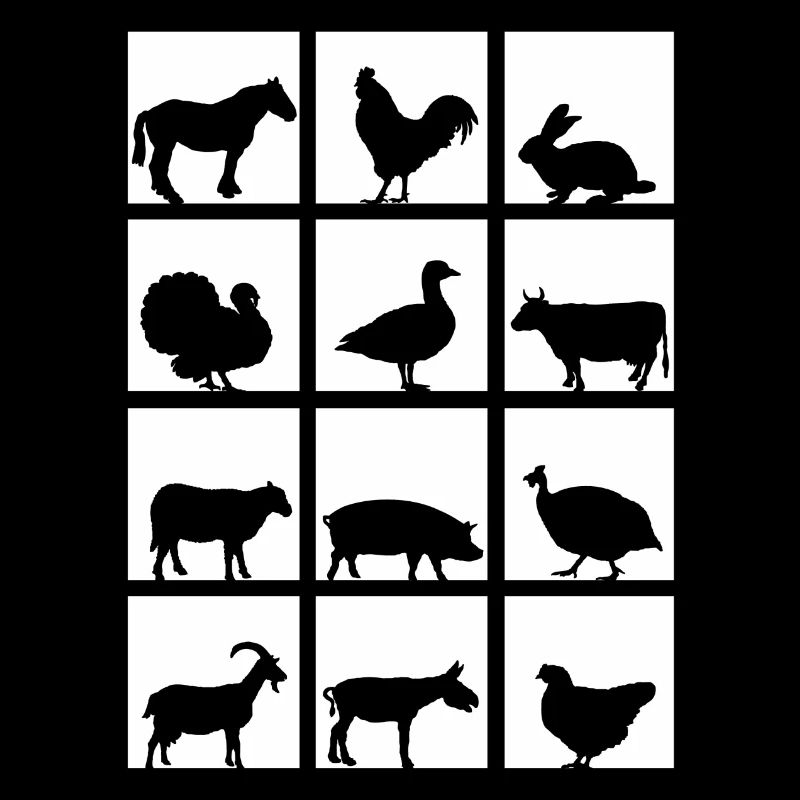 Animaux ferme 4