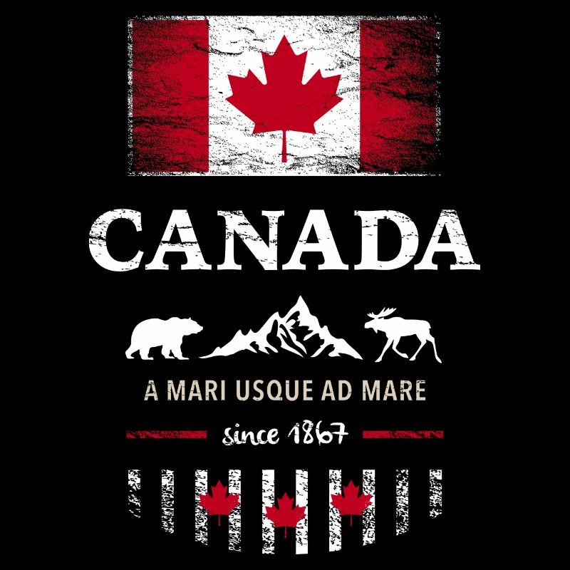 Canada Canada Amérique drapeau feuille d’érable drapeau ours