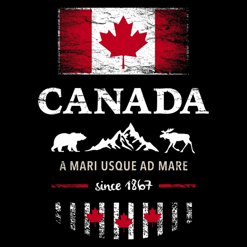 Canada Kanada Amerika maple leaf Flagge Fahne