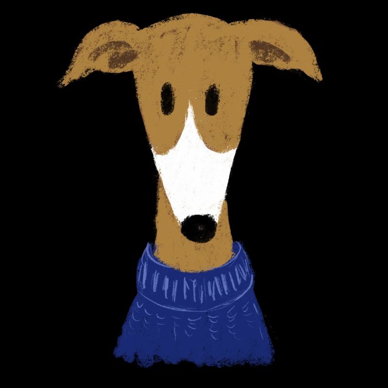 Greyhound in blue sweater