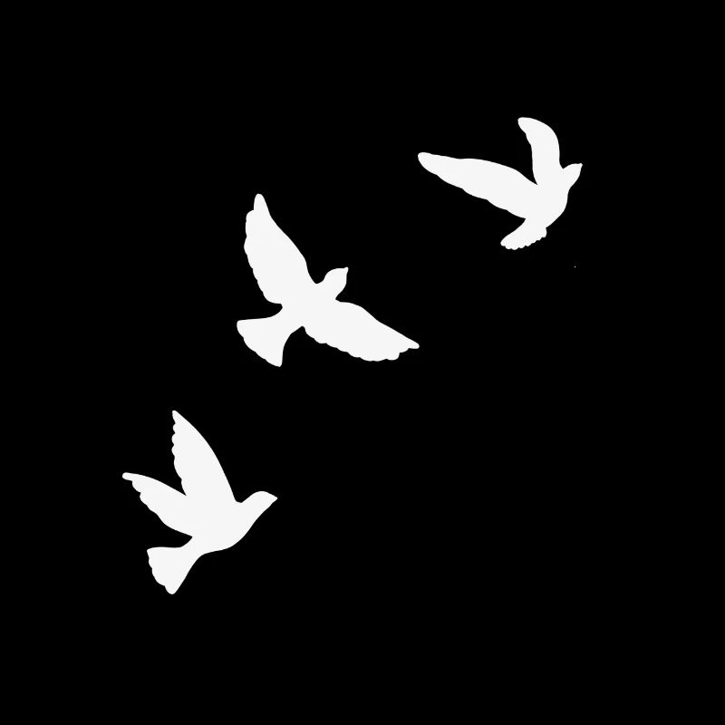 3 flying birds white