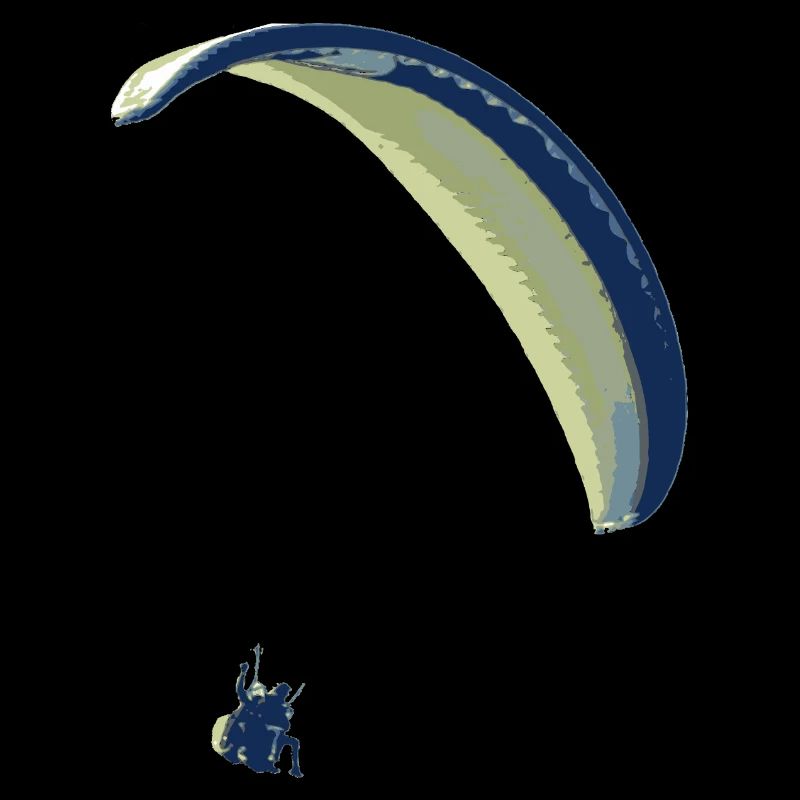 paraglider 12