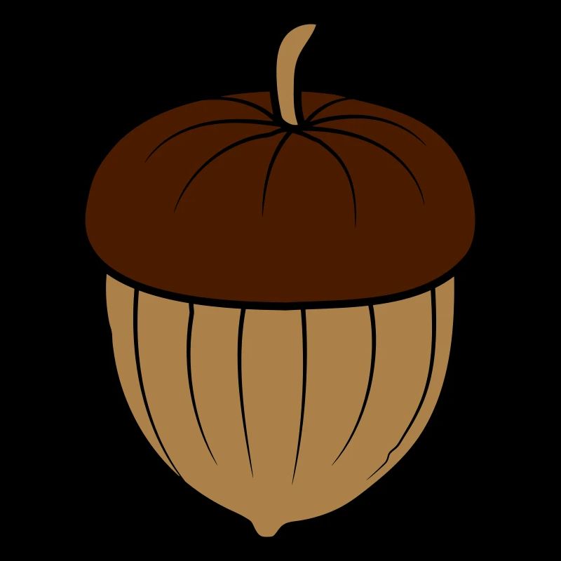 Acorn Nut Design