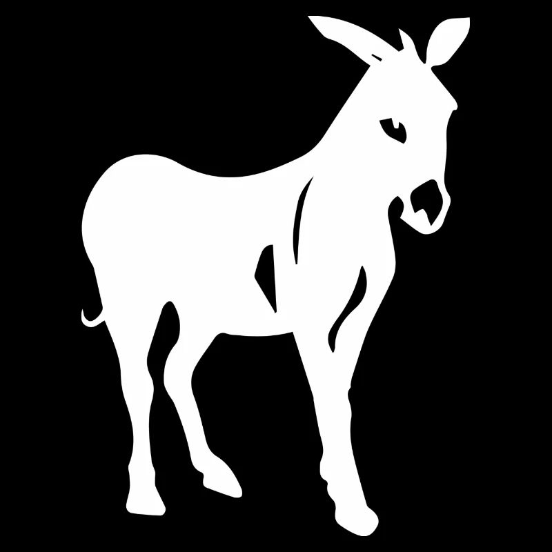 Donkey Esel