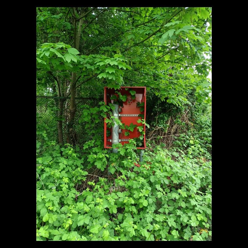 Rouge dans le vert