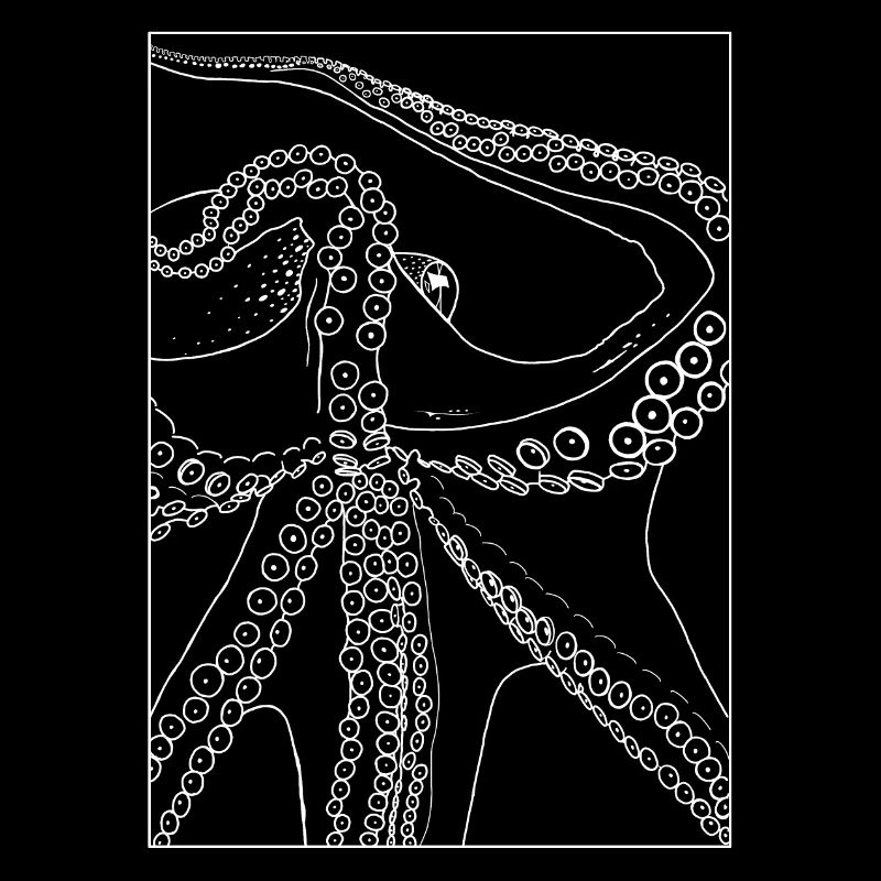 Octopus from below with frame