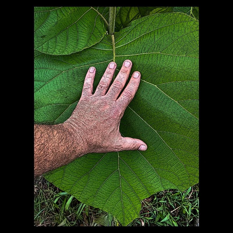 Die Hand am Leben