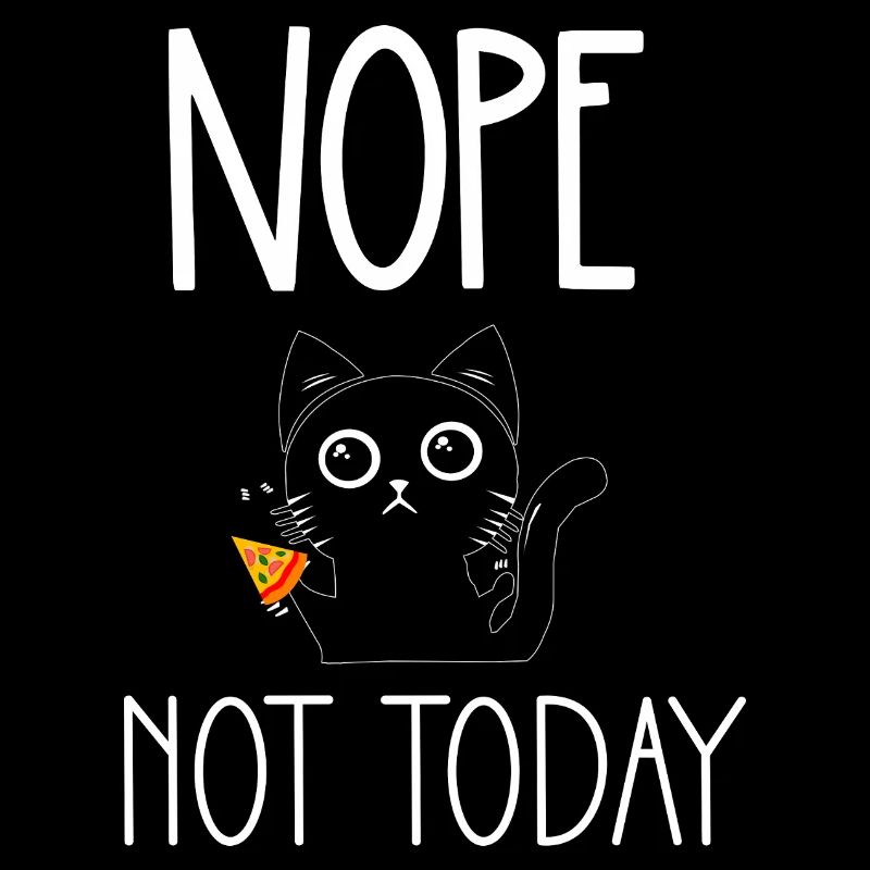 Nope not today cat with pizza