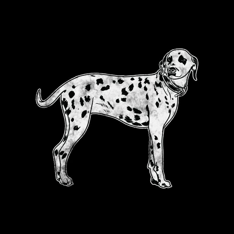 Dalmatian