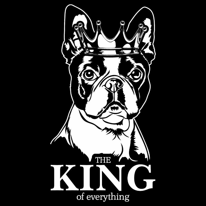 Boston Terrier Roi de tout Chiens Wilsigns