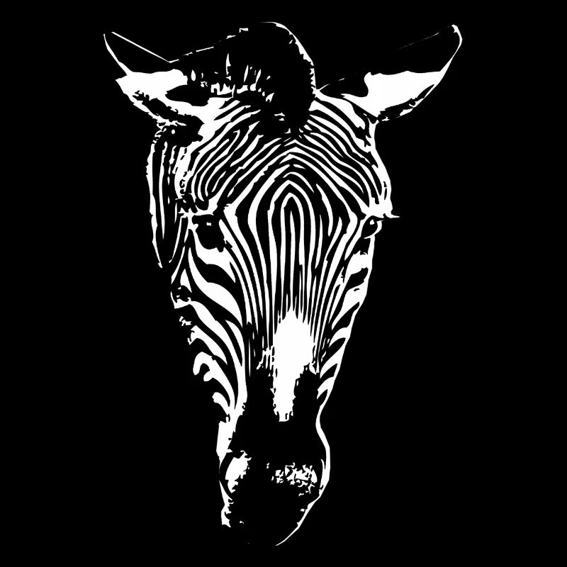 Zebra crossings | Black and White Striped