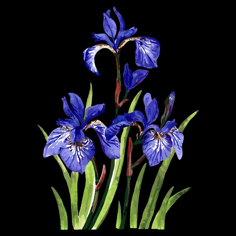 Fleur