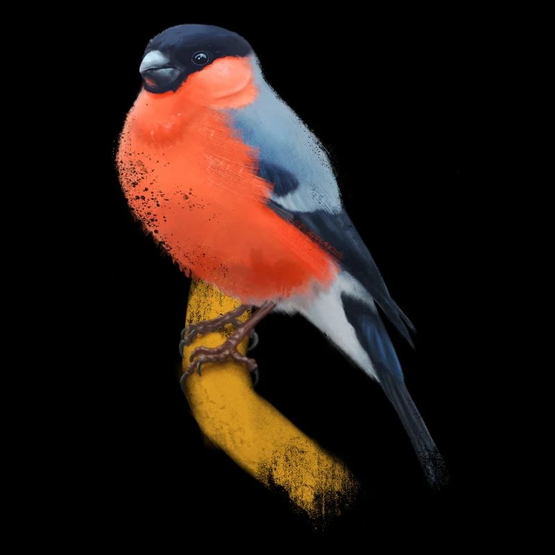 Bullfinch