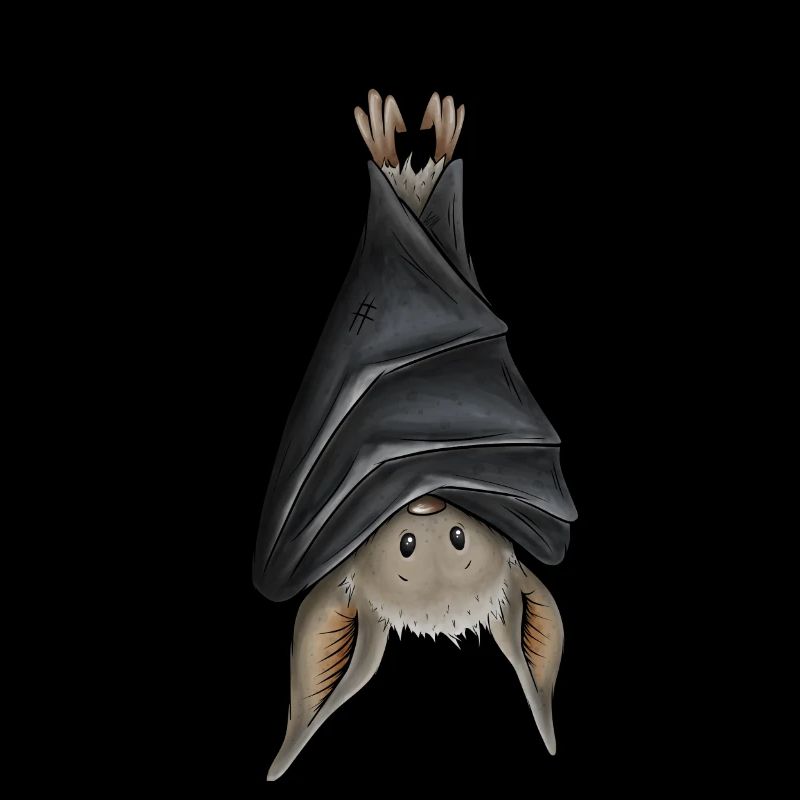Funny chilling upside down hanging bat
