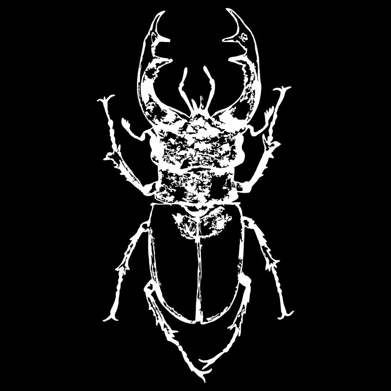 Stag Beetle Animal Insect Microscope