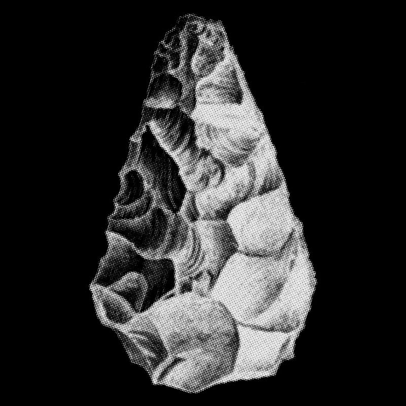 Back to the Primitive